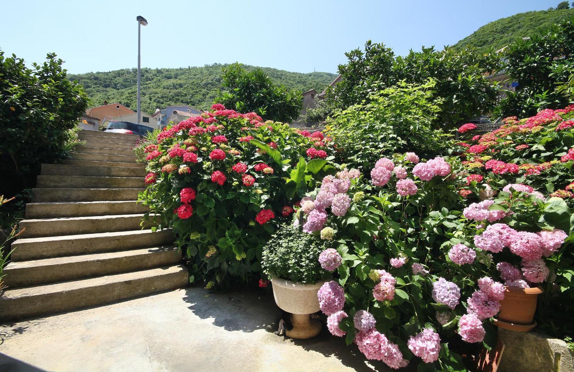 Apartments Raicevic Budva Luaran gambar